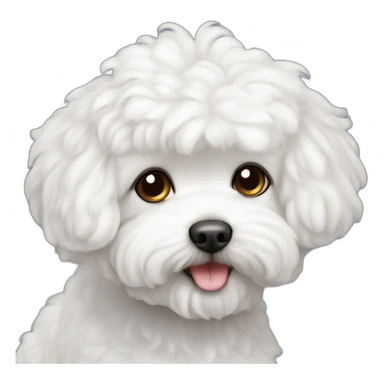 Bichon maltais sticker