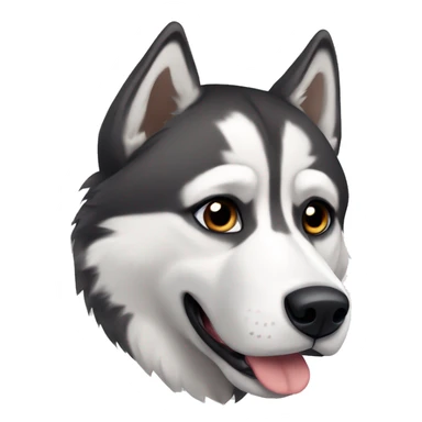 A husky with brown eyes, gray and black fur with white markings sticker