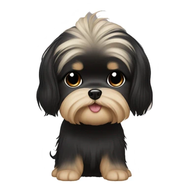 long black hair korean girl with beige and black shih tzu yorkie, short floppy ears. He has light eyebrows  sticker