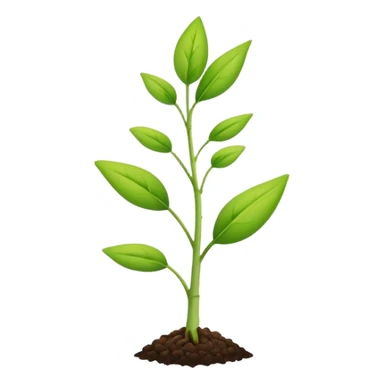 A small seedling plant sprouting, representing reproduction in plants sticker