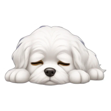 Maltese falling asleep sticker