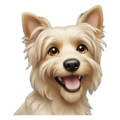 dog-australian-yorkshire-older-closeup-smile sticker