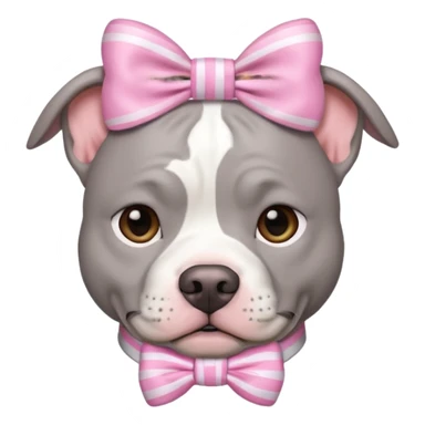 Fully Gray Pitbull with a white stripe on his head and a pink bow sticker