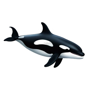 Killer whale sticker