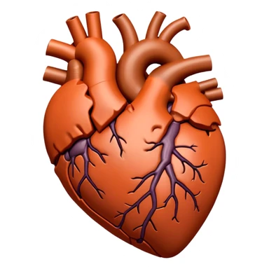 Terracotta anatomy heart sticker