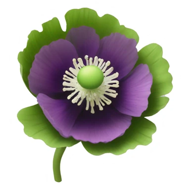 Poppy anemone sticker