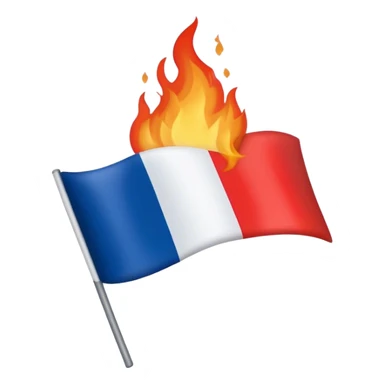Burning the French flag  sticker