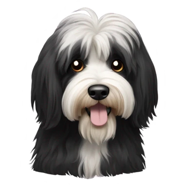 Tibetan terrier, all black fur  sticker