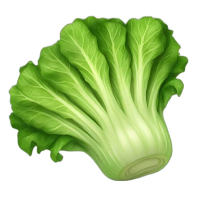 romaine lettuce sticker