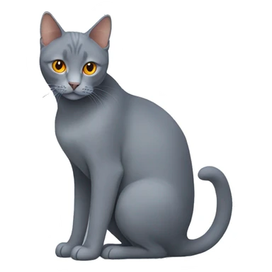 Grey cat breed blue Brit with orange eyes and several lines on the tail sticker