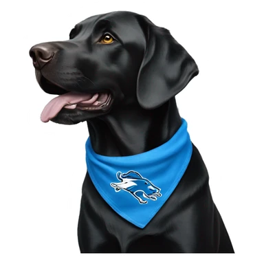 Large Black Lab dog in a Detroit Lions bandana  sticker