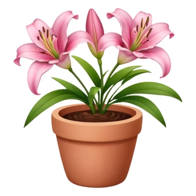 pink lily flowers in a clay pot sticker