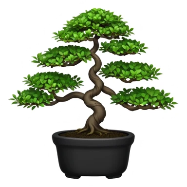 Bonsai Tree – Miniature tree in small pot, trimmed carefully, black pot sticker