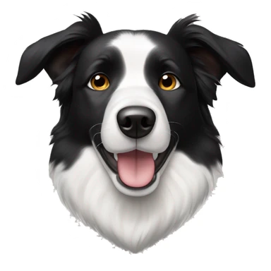 Black and white elderly dog short haired border collie smaller ears  sticker