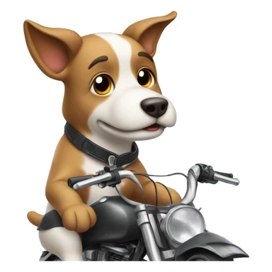 dog on a bike wearing pan sticker