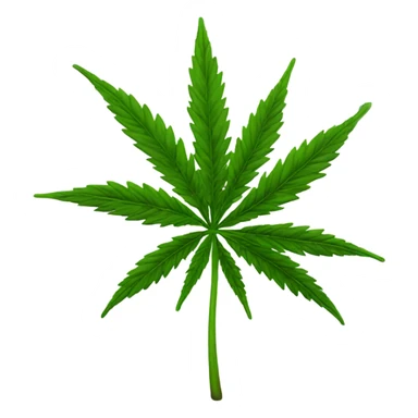 Marijuana plant   sticker