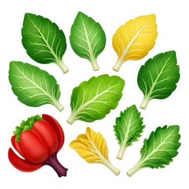 different salad leaves different colors  sticker