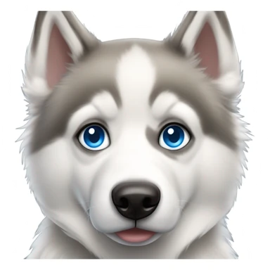 husky and alaskan eskimo mixed dog with blue eyes sticker