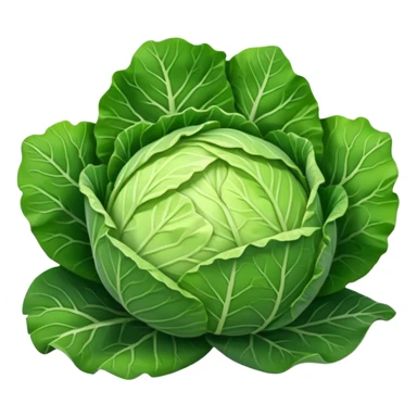  Shredded cabbage    sticker