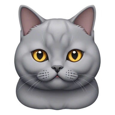 Graue british shorthair car sticker