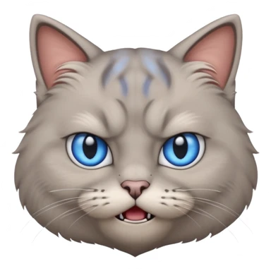 angry grey cat blue small eyes. iphone real emoji style sticker