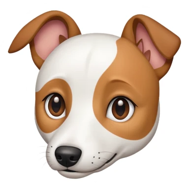 a fully white jack russell the size of a kelpie with light brown ears and a light brown patch on one eye sticker