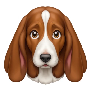 Cute female Basset hound getting an eye exam  sticker
