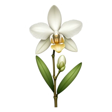 single white Dendrobium Orchid straight stem sticker