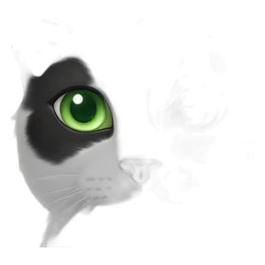 black-and-white cat with green eyes sticker