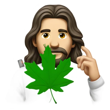 long haired man smoking a backwoods filled with green tobacco and has a shirt on with a green maple leaf  sticker