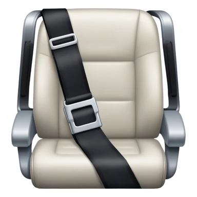 plane seat belt sticker