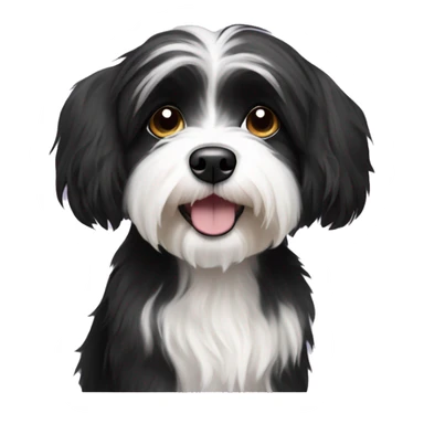 Black and white Havanese dog sticker