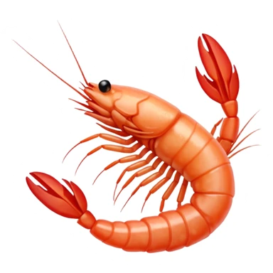 White shrimp  sticker