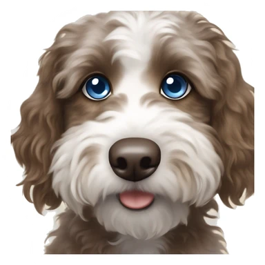 Mini Aussiedoodle with a blue and brown eye  sticker