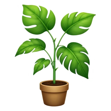 A new plant sticker