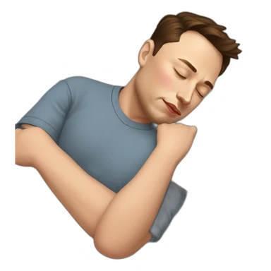 Sleeping-elon-musk sticker