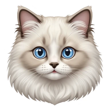 cinematic-adorable-big-eyed-fluffy-ragdoll-cat-portrait-emoji,-head-tilted-playfully-with-a-sweet-expression,-fluffy-white and grey-fur,-simplified-yet-irresistibly-cute-features-with-large,-expression, blue eyed ragdoll cat sticker