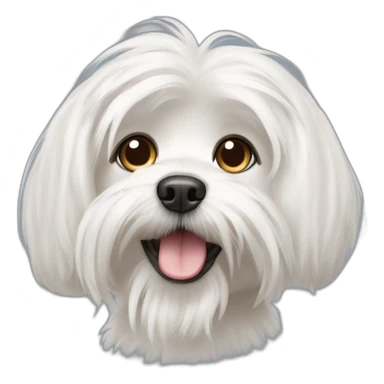 Maltese dog with shorter hair and litte bit of tongue stigning out sticker