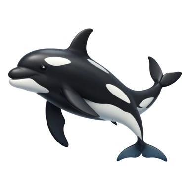killer whale sticker