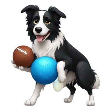 Border collie playing football with blue ball sticker