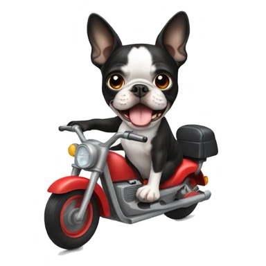 boston terrier riding a moter cycle sticker