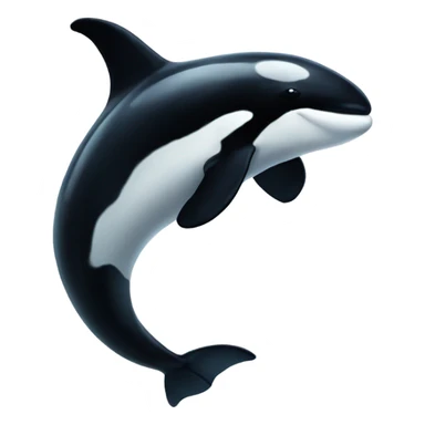 Killer whale sticker