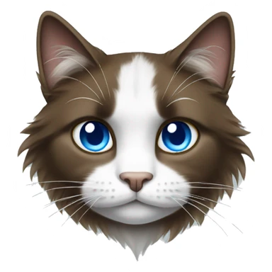 Long haired brown white and black cat with blue eyes sticker