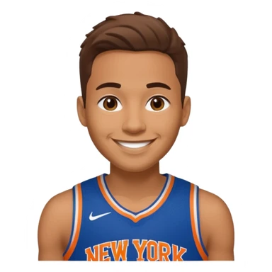 Smiley new york knicks sticker