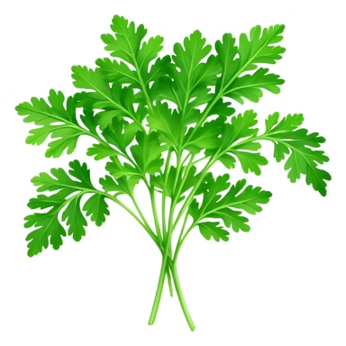 Cinematic Realistic Parsley Emoji, Fresh and vibrant, with bright green, frilly leaves that seem to shimmer with vitality. The plant exudes a sense of healthy growth and aromatic zest, inviting both beauty and flavor into any dish. Soft glowing outline, capturing the essence of freshness, health, and culinary delight in a sprig of parsley! sticker