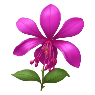 Fuchsia sticker