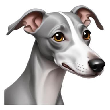 Grey Italian greyhound sticker
