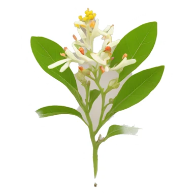 ashwagandha with flower sticker