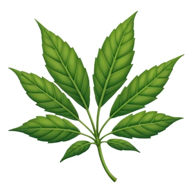 Hoja de mariguana Hoja de mariguana sticker