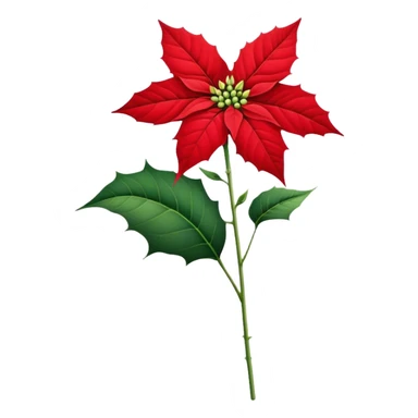 single Poinsettia flower, stem sticker